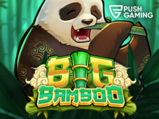 Free casino slot games to play49